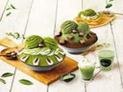 ソルビンからインパクト大な“抹茶”が思う存分堪能できる限定メニュー登場！「抹茶フェ