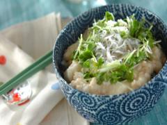 洗い物を出さずに作れる！ 明太とろろのシラス丼