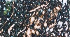 引き込まれるような世界観。友達と、彼と行きたいアート展