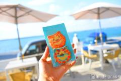 キュートな沖縄土産“シーサークッキー”を発見！瀬長島ウミカジテラスの隠れた逸品