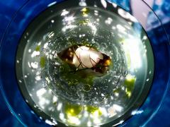 食体験とアート体験を「同時」に味わうと、人はどうなる？ NAKEDが始動。最先端体験型レス