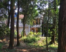 週末デートに♡絶品パンがおいしい井の頭公園のおしゃれすぎるカフェ