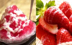 子ども好みの味わいに！ 余らせがちな「練乳」を、おいしく使い切るコツ＆レシピ