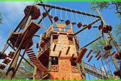 テレビで話題のアドベンチャーパークとショッピングが楽しめる究極の欲張りツアーが新登