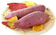 子どものおやつに！ まんまるがカワイイさつまいもボール