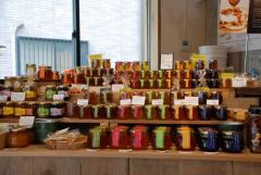 “生蜂蜜”を食べたことある？健康のために、毎日取り入れたい特別な蜂蜜