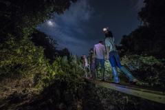 那覇から車で30分、夜の沖縄ジャングルツアー「ウワーガージャングル」で冒険の旅へ