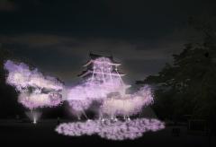 小田原城、初の冬桜イルミネーション、光×音が織りなすファンタジーショー