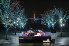 品川の街が青く煌めくイルミ　東京タワー×光の海のSNS映えスポット出現