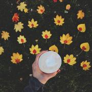 ダイエット中だけどスタバ愛が止まらない！カロリー150キロ以下のカスタマイズメニュー