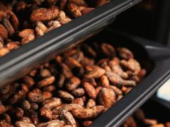 チョコ＝太るはもう古い！ダイエット中も罪悪感なく食べられる絶品スイーツ