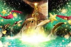 「アクアパーク品川」星降る海のクリスマス　新感覚ドルフィンパフォーマンスは必見