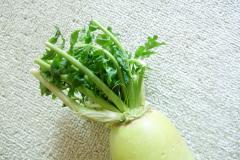 【レシピつき】捨てるなんてもったいない！「大根の葉」で美肌づくり