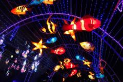 北陸最大級の屋内イルミがパワーアップ！海中散歩が楽しめる光の世界