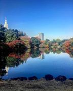 "お写んぽ"したくなる♡東京の「フォトジェニック紅葉名所」10選