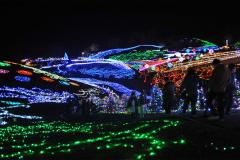 四国のイルミといえばここ！「ウィンターファンタジー」55万球の輝きで描く光の地上絵