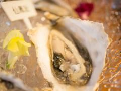 牡蠣師厳選「鼓動する生きた牡蠣」を一度は食べてみるべし！ 海水までにもこだわるオイス
