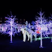 インスタ映え確実♡「関西版」人気イルミネーションをピックアップ