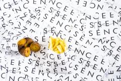 フレンチフライ＆紅茶の専門店「ジ・エッセンス」自由が丘に 選べる6種のフレーバー