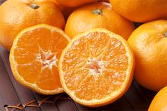 栄養を余すことなくいただく！ 「 皮もまるごと！ みかんジュース」