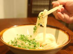 ツルッとのどごしが絶品の「うどん」とちょい飲みが最高すぎ！ 毎日でも通いたい、高円寺