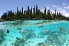 【2018年ヒット予測／旅行トレンド】次の旅がもっと楽しくなる！注目の国内旅行＆海外旅行