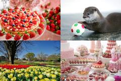 「今週末、何しよう？」豪華なイチゴビュッフェも！東京イベントランキングTOP10【2018年4月