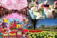 明日行ける東京イベントランキングTOP10！デジタルお花見からイチゴのデザートビュッフェま