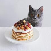 男性ウケする料理はコレ♡@higucciniさんのデリスタグラムから目が離せない！