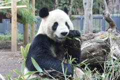 5/4「みどりの日」の入場無料スポット17選♪水族館・動物園など、GWの東京0円デート