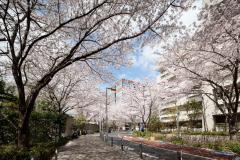 週末何する？次の休みに行くお出かけスポット11選vol.122