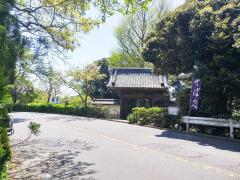 「今度の休日、鎌倉行かない？」人気スイーツ、ペアリング作りetc.日帰り鎌倉デートスポッ