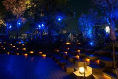 これぞ原宿デートの決定版！夜景スポットから絶品パンケーキまで、二人で行きたいスポッ