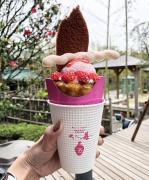 クレープだけのために足を運びたい♡全国の絶品すぎるクレープ店特集