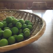 美味しいだけじゃない♡体が喜ぶ「梅シロップ」の作り方