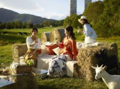 気分はハイジ！星野リゾート トマムに「牧場ラウンジ」　牧草ソファでランチ＆二度寝OKな