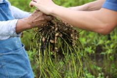 苦手な人でも夢中になる♡新感覚のやみつきピーナッツバターとは