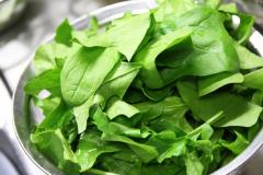 野菜嫌いでもおいしく食べられる！ 「ぎっしりほうれん草のスパニッシュオムレツ」