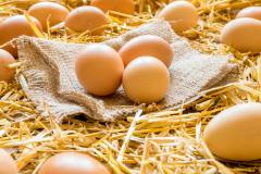 お肉もりもり食べても大丈夫♡「MEC食」なら食べて痩せられる！ - LOCARI（ロカリ）