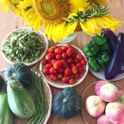 男性もモリモリ食べられる！夏野菜で作るおつまみレシピ10選 -