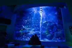 ゴロ寝できるプラネタリウムや夜の水族館etc.暑い日も快適♪夏に行きたい東京の涼しいデー