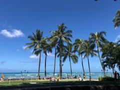 人気インスタグラマーのハワイ女子旅再び、日本人観光客がほぼ知らない注目和食店とは？