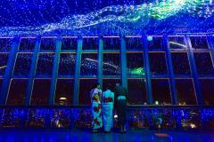 【2018年版】夏デートにオススメ！東京・横浜の夏祭り＆イベント10選