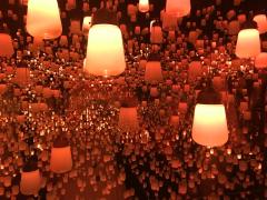 体験者がお教えします♡「チームラボ　ボーダレス」のおすすめスポット7選 -