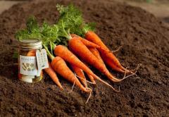 「もったいない」から生まれた新感覚ピクルスに注目