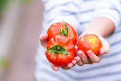 トマトをまるごと冷凍！ 親子で楽しめる「トマトシャーベット」の作り方