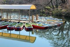 露天風呂付き完全個室で彼とゴロゴロ…二人っきりになれる日帰り温泉も♪秋におすすめの