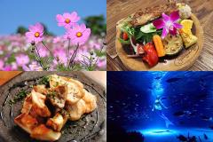 魅惑のおつまみフェスも！週末に行きたい東京イベントランキングTOP10【2018年9月23日版】