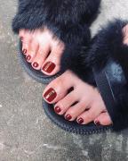 秋も足元のおしゃれが欠かせない♡エレガントなコリアンフットネイル -