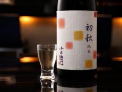 【10/1日本酒の日】秋の日本酒「ひやおろし」ってどんなお酒？うまい「ひやおろし」が飲め